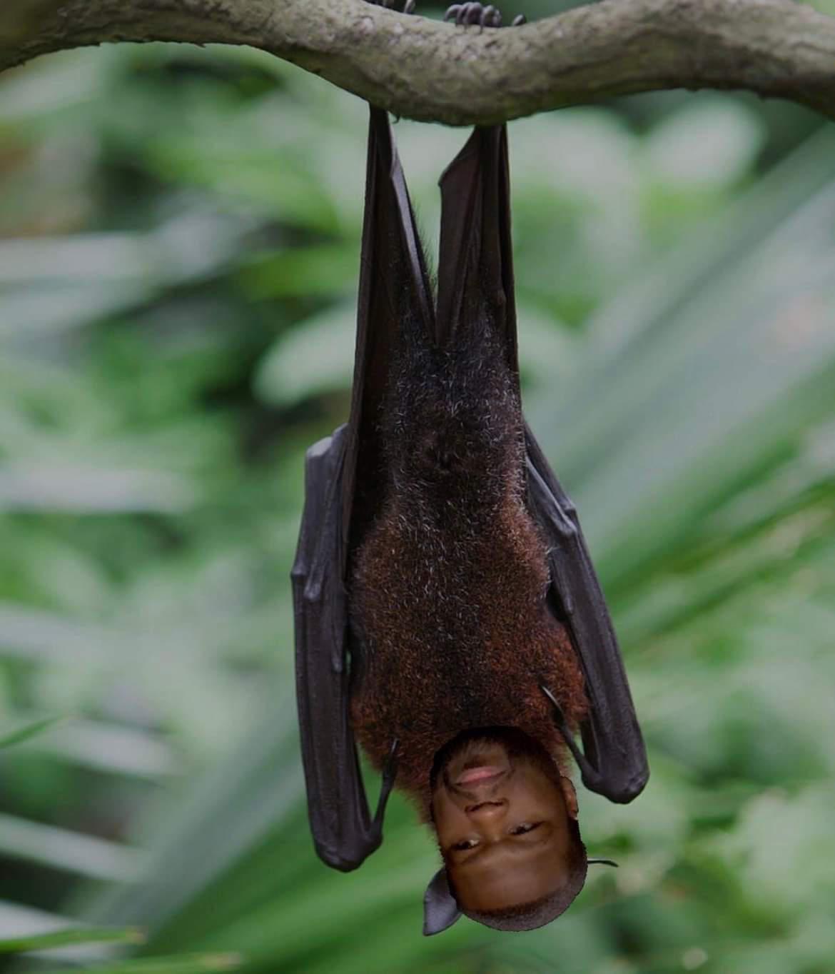 ¡Destruyen a 50 Cent y Snopp Dogg! Los mejores memes que dejó el show de medio tiempo del Super Bowl 2022