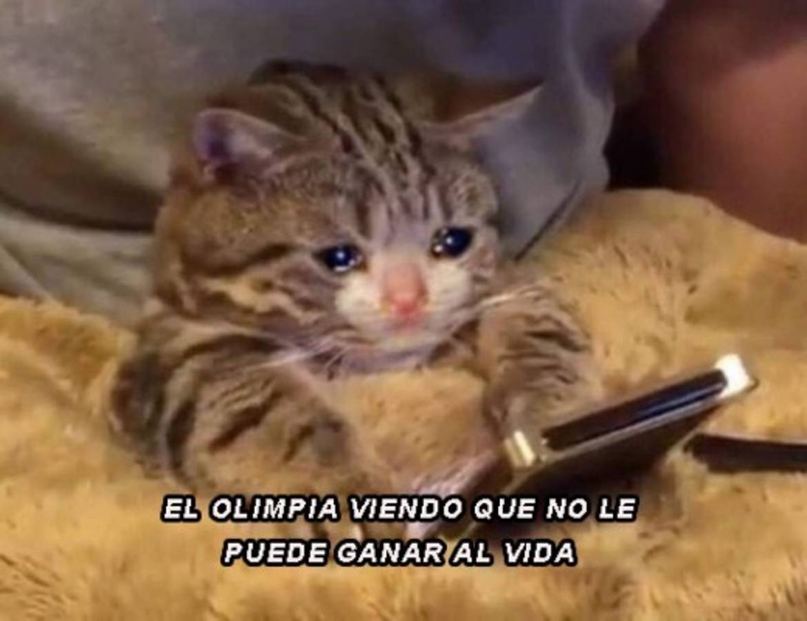 ¡Olimpia no puede ganarle al Vida! Los memes hacieron pedazos al león tras la dolorosa derrota en La Ceiba