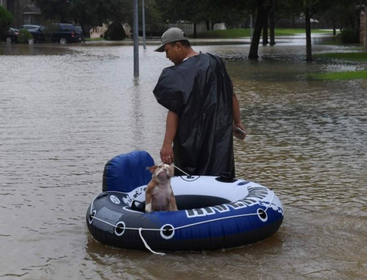 INFORME ESPECIAL: Continúan los desastres del huracán Harvey; Trump ya está en Texas