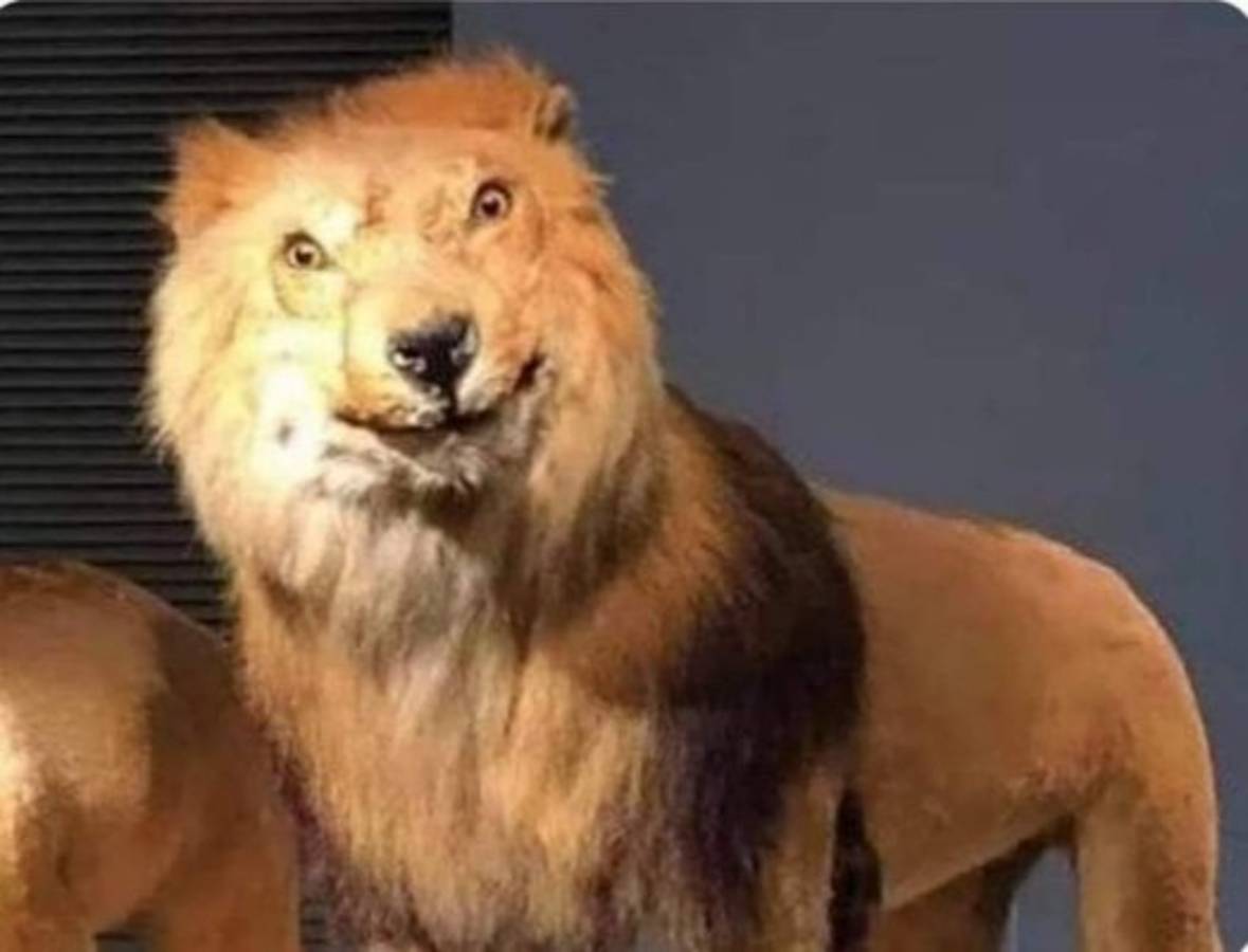 ¡Para morir de risa! Los memes tras la extensa tanda de penales entre Motagua y Comunicaciones