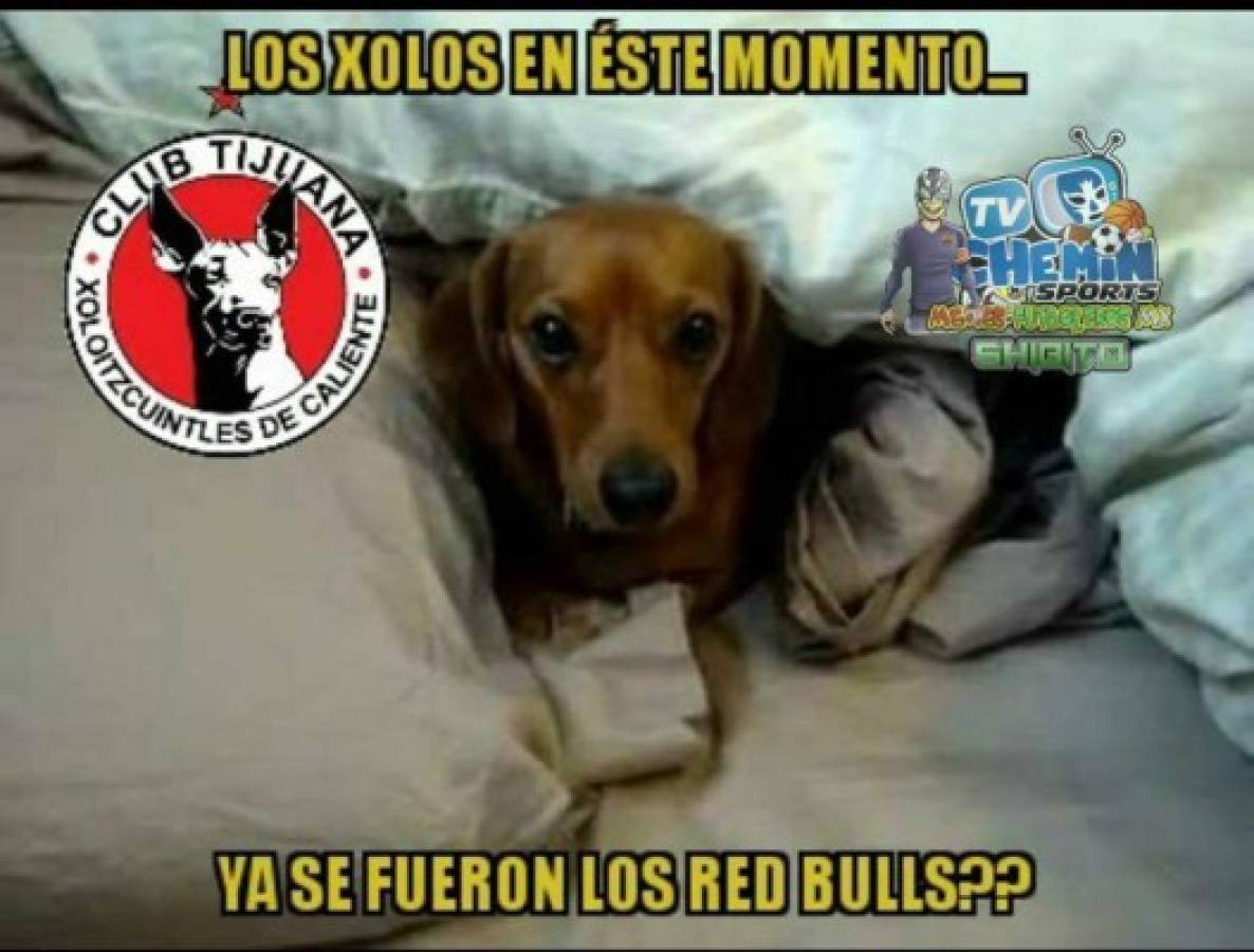 ¡Imperdibles! Tremendos memes contra Tigres y Xolos por su eliminación en Liga de Campeones