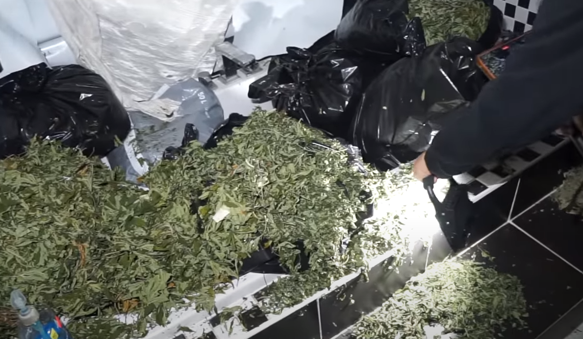 Youtuber se cuela a la mansión de un crack y se lleva tremenda sorpresa: una plantación industrial de marihuana