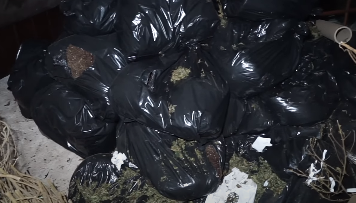 Youtuber se cuela a la mansión de un crack y se lleva tremenda sorpresa: una plantación industrial de marihuana