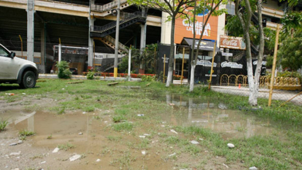 Así luce el Olímpico para la eliminatoria