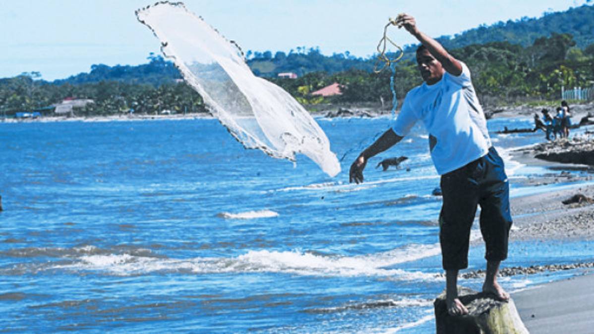 De Tulián Campo a héroe del Olimpia