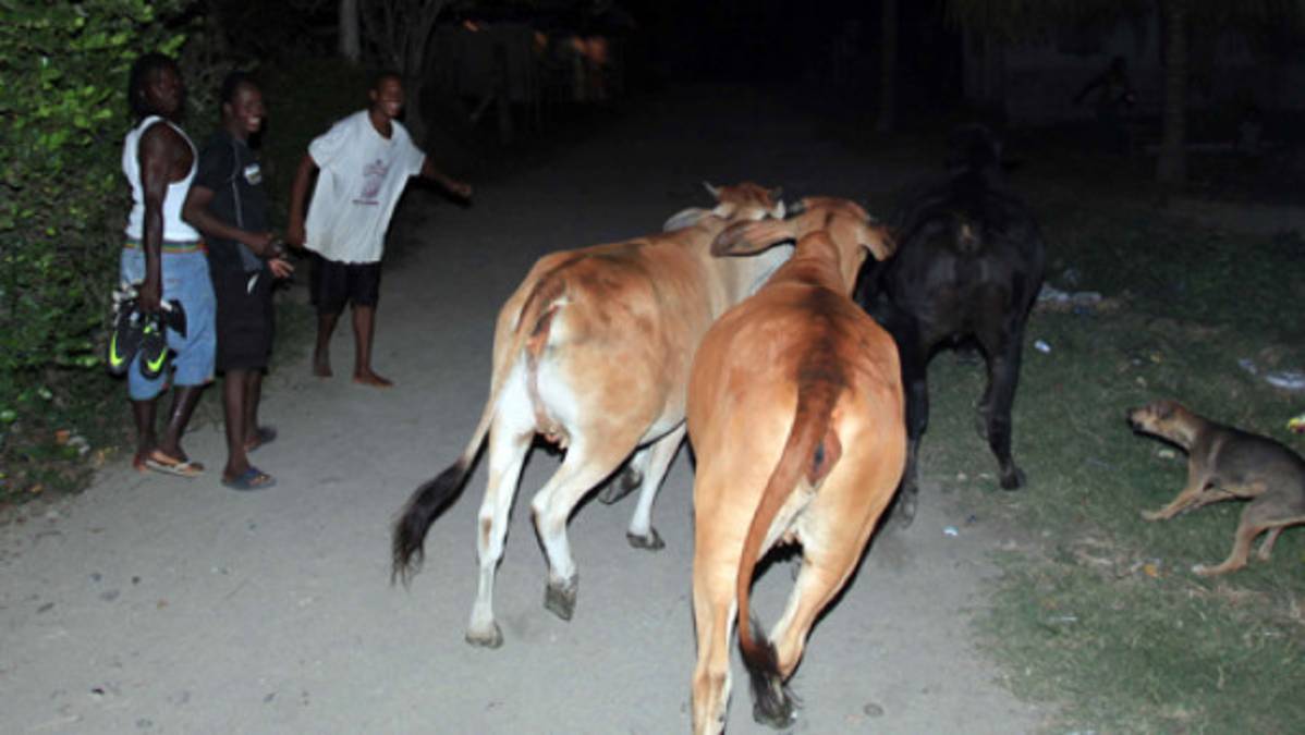 Visitando Nueva Armenia con el 'Muñeco'