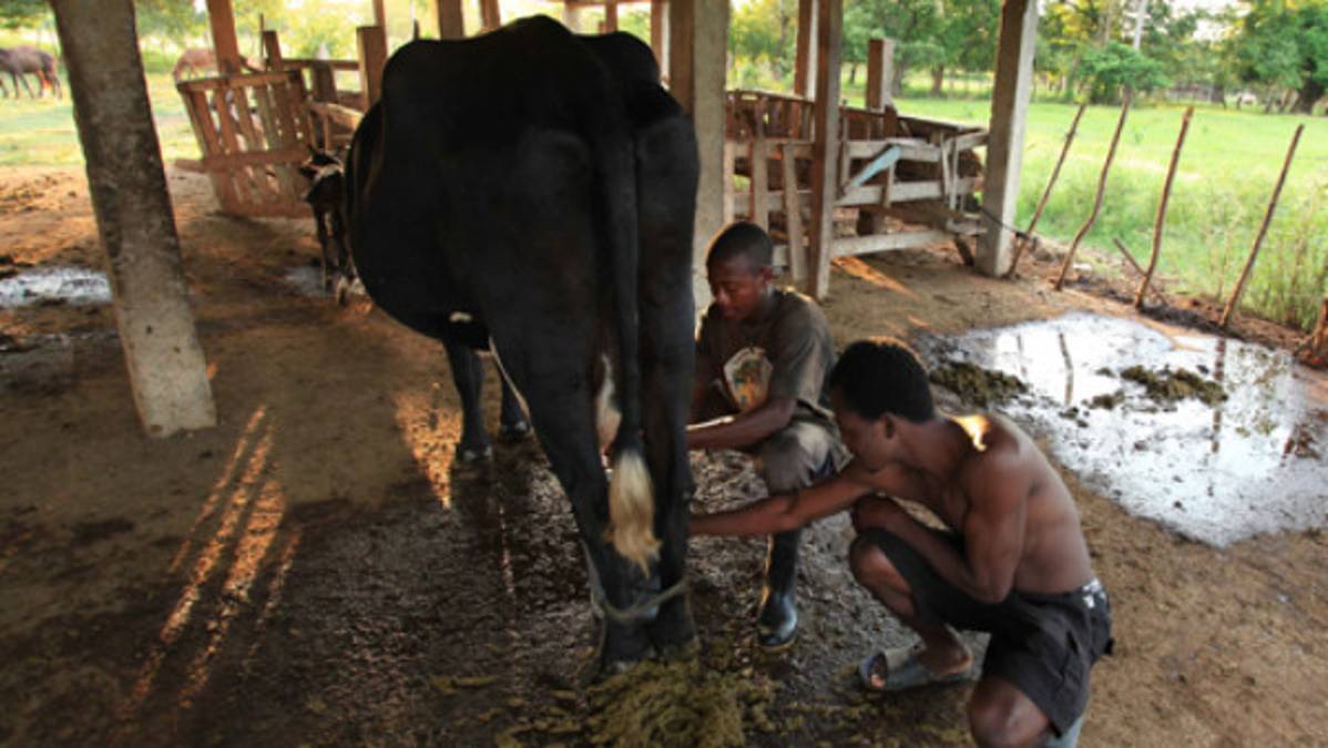 Visitando Nueva Armenia con el 'Muñeco'