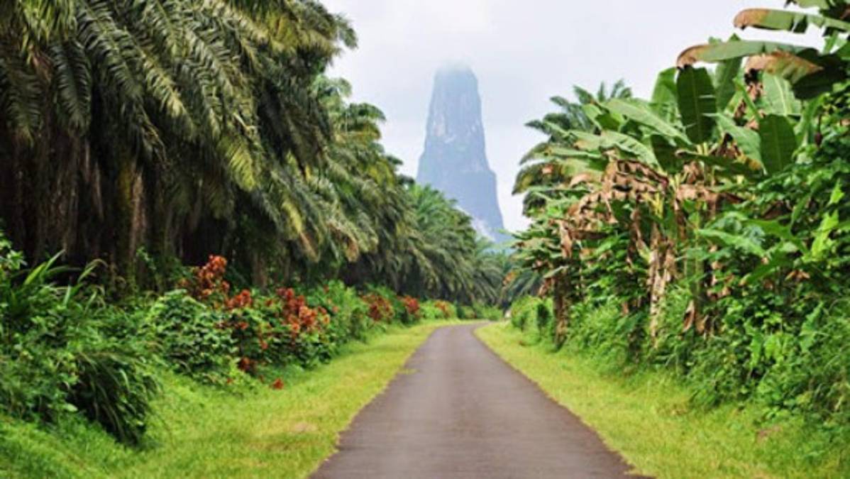 Los seis países africanos que no registran oficialmente casos de coronavirus