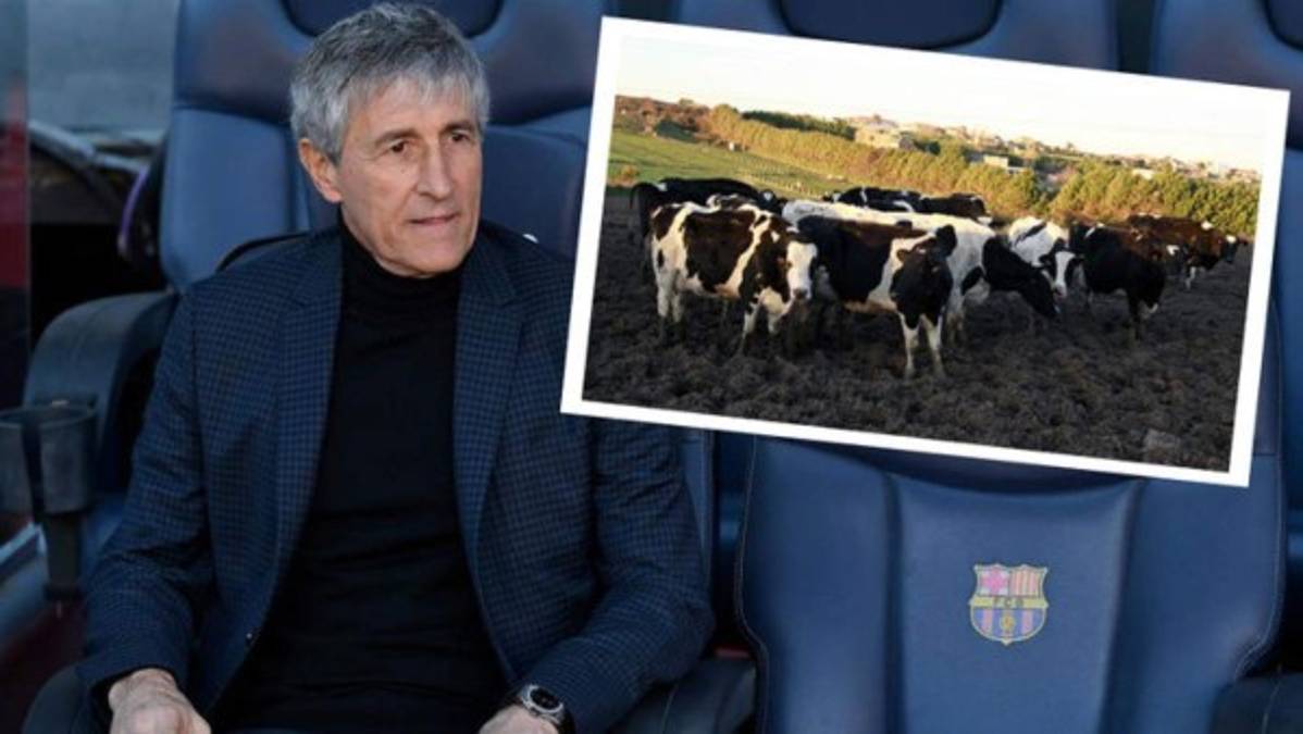 El sueño de Setién en Barcelona: 'Ganar la Champions y pasearme con la copa entre las vacas'  