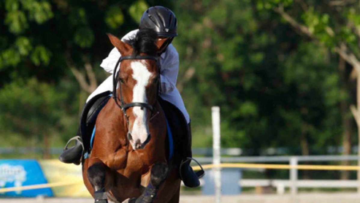 Gran jornada para Club El Carmen en ecuestre
