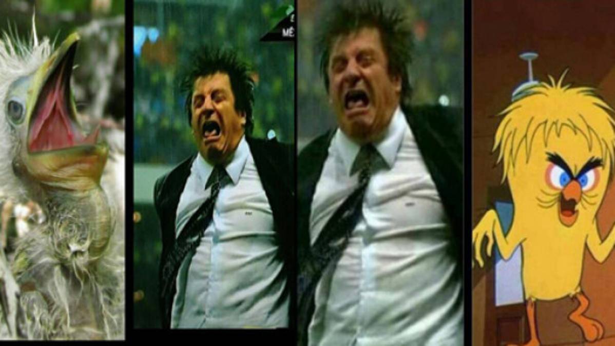 VIDEO: Celebraciones de 'Piojo” Herrera se vuelven memes