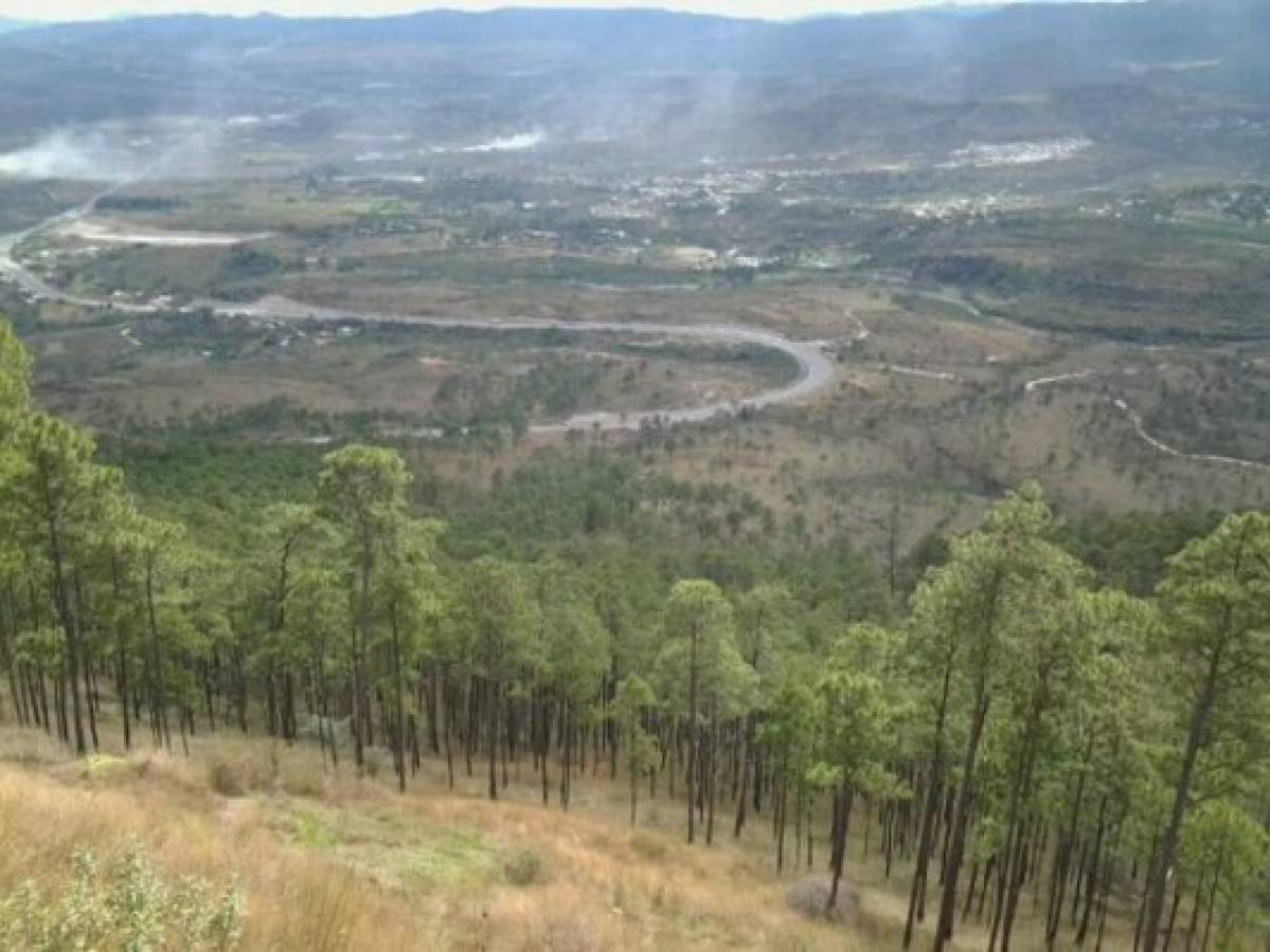 Los lugares que Motagua y Olimpia están considerando para construir su propio estadio