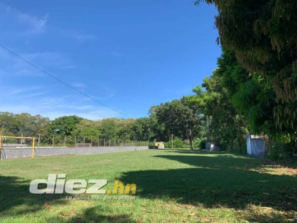 Gradería techada y cancha de primer nivel: Así será el estadio del Vida en el Campo Atlántida de La Ceiba