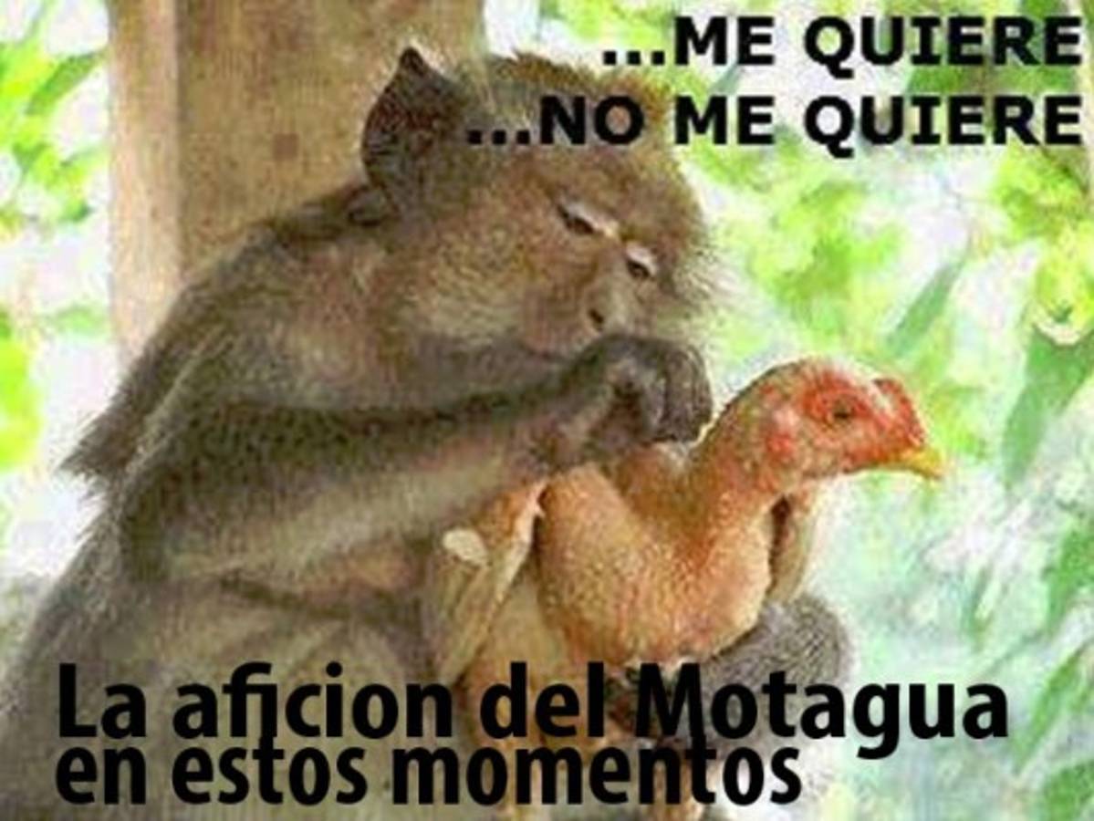 Destrozan al Motagua en los memes de la fecha 7 del Apertura en Honduras