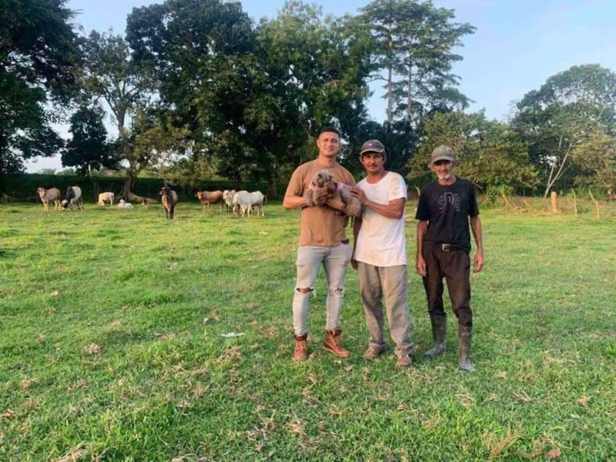 Pedro Troglio se une al emprendimiento: Los negocios de los jugadores hondureños y hasta exfutbolistas extranjeros