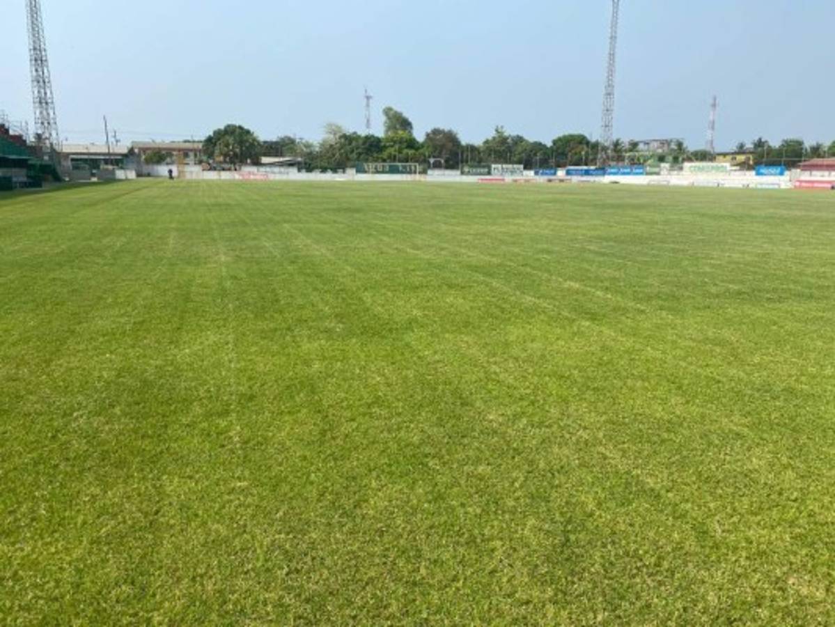 ¡El césped más verde! Así lucen los estadios de Honduras en esta cuarentena