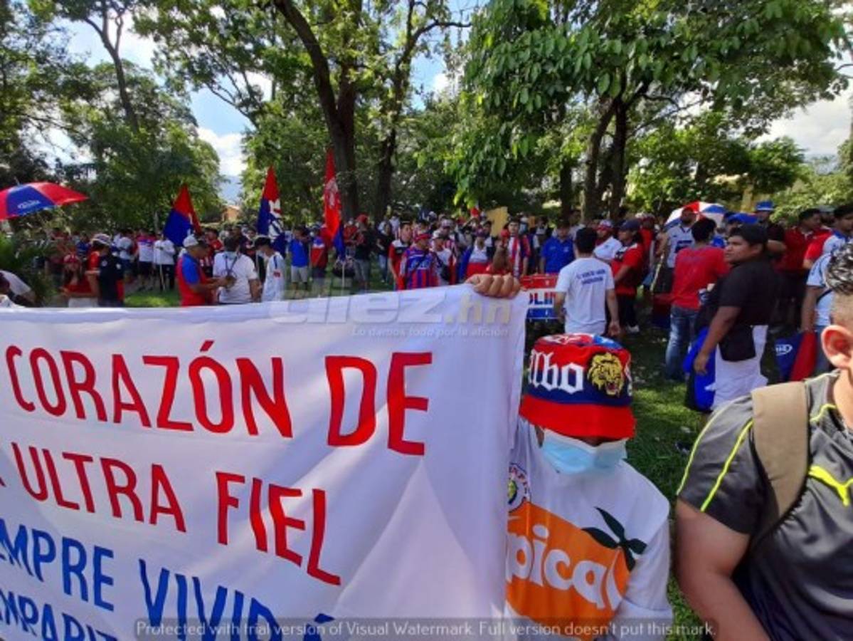 ¡Espectacular! Afición del Olimpia se desborda con banderazo al club y se acuerdan de Motagua