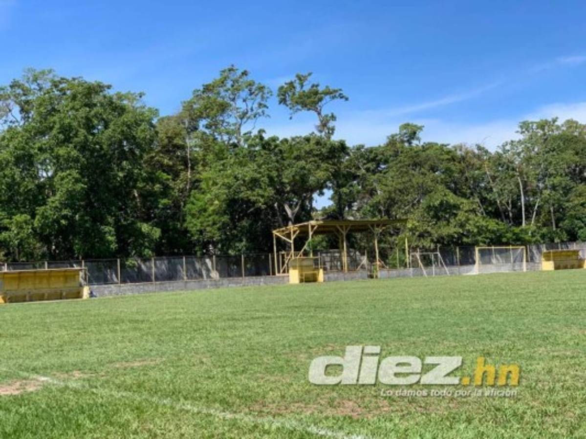 Gradería techada y cancha de primer nivel: Así será el estadio del Vida en el Campo Atlántida de La Ceiba