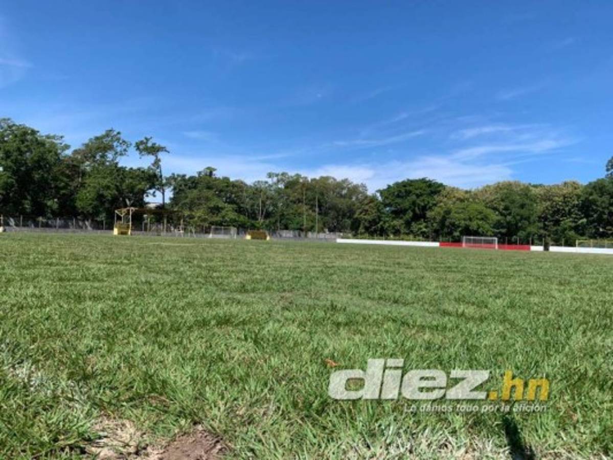 Gradería techada y cancha de primer nivel: Así será el estadio del Vida en el Campo Atlántida de La Ceiba