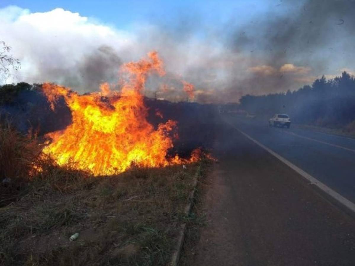 Las imágenes del terrible incendio que devora el Amazonas, el pulmón del mundo