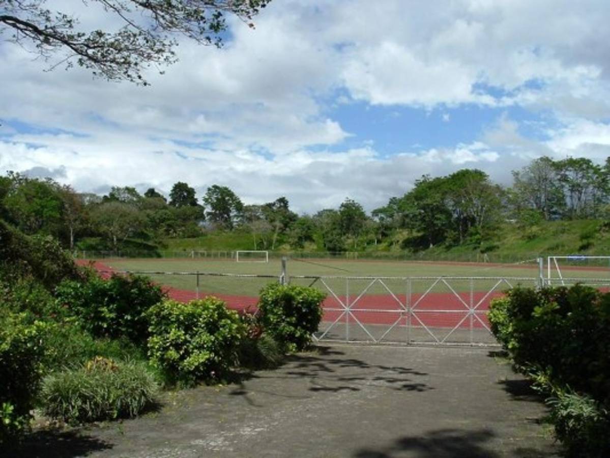 ¡Mágica combinación! Los estadios que mezclan la arquitectura y la naturaleza