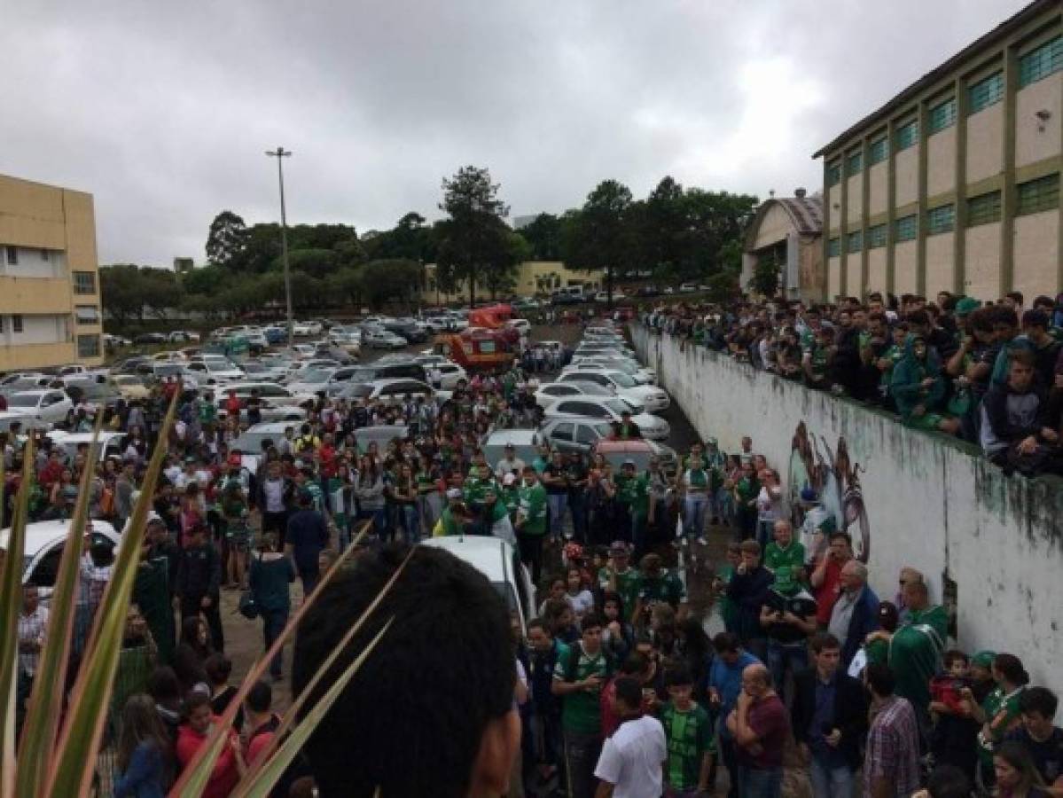 Terribles fotos del avión que se estrella con el club Chapecoense