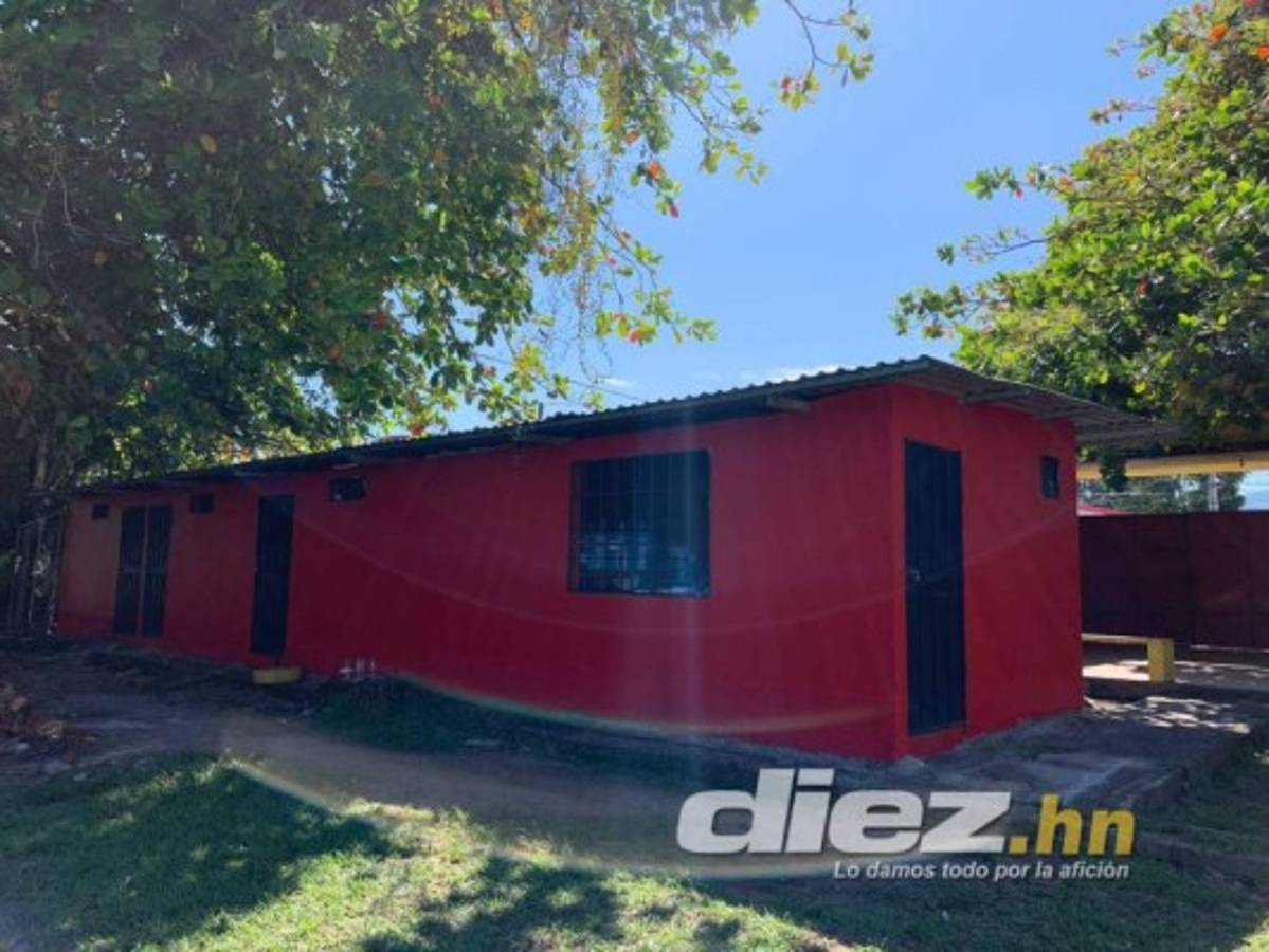 Gradería techada y cancha de primer nivel: Así será el estadio del Vida en el Campo Atlántida de La Ceiba