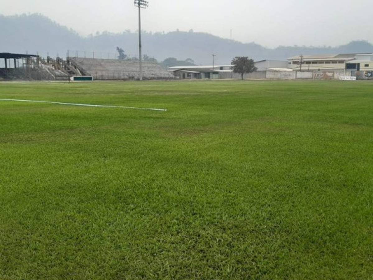 ¡El césped más verde! Así lucen los estadios de Honduras en esta cuarentena