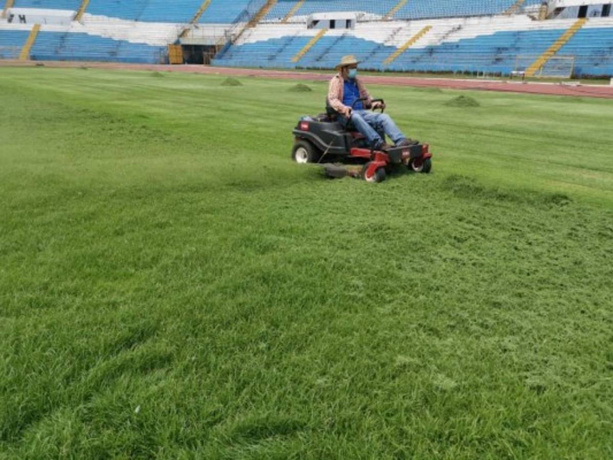 ¡El césped más verde! Así lucen los estadios de Honduras en esta cuarentena