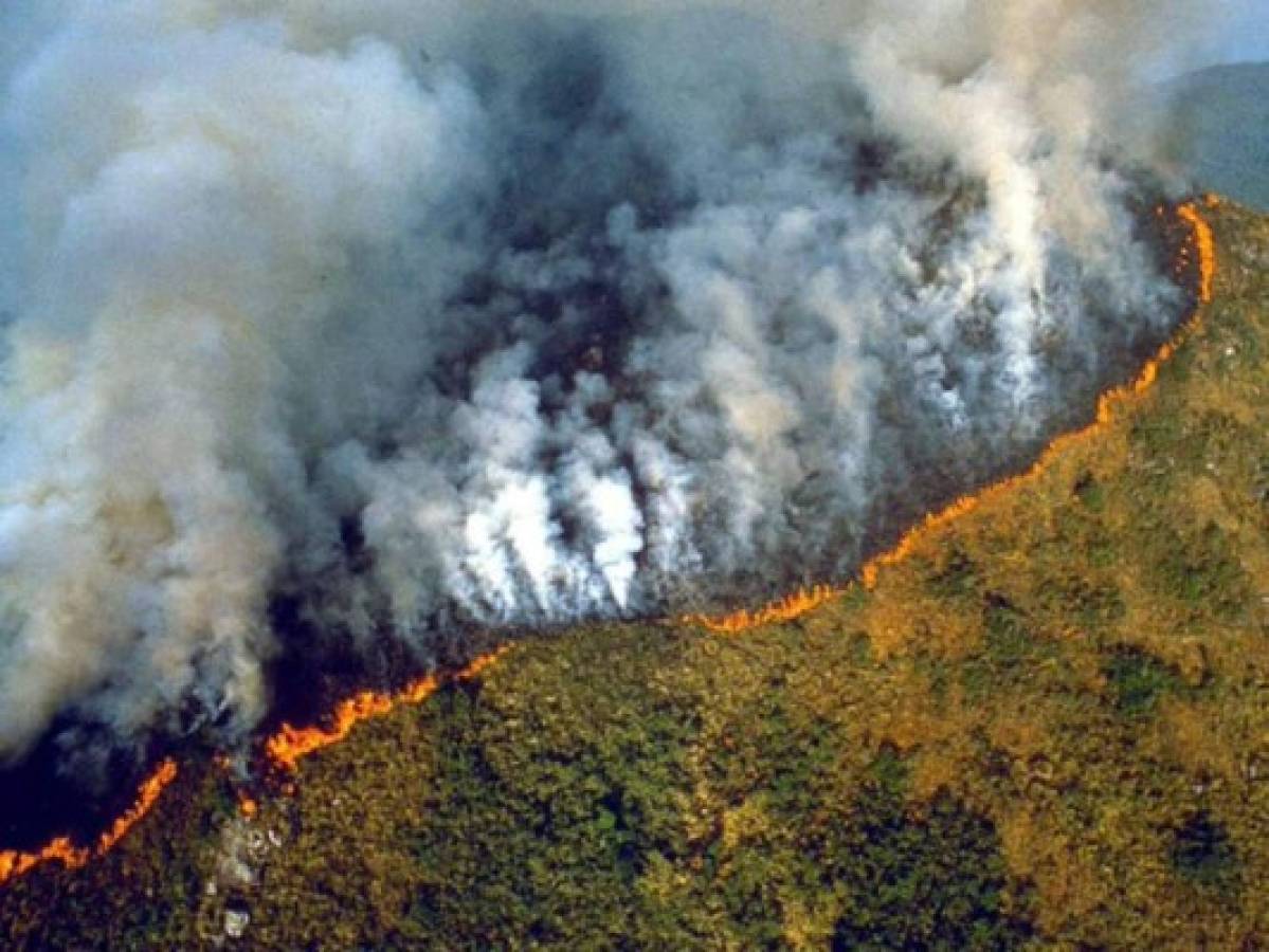 Las imágenes del terrible incendio que devora el Amazonas, el pulmón del mundo