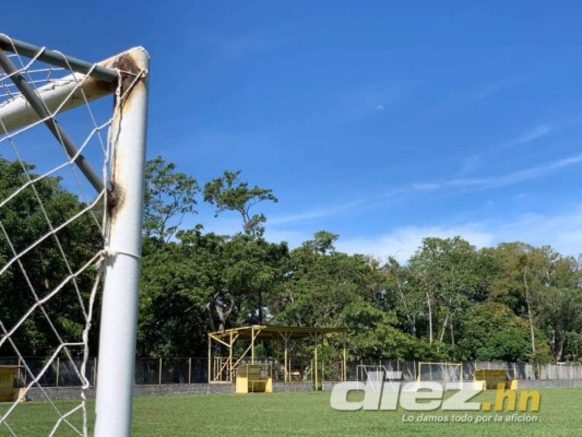 Gradería techada y cancha de primer nivel: Así será el estadio del Vida en el Campo Atlántida de La Ceiba