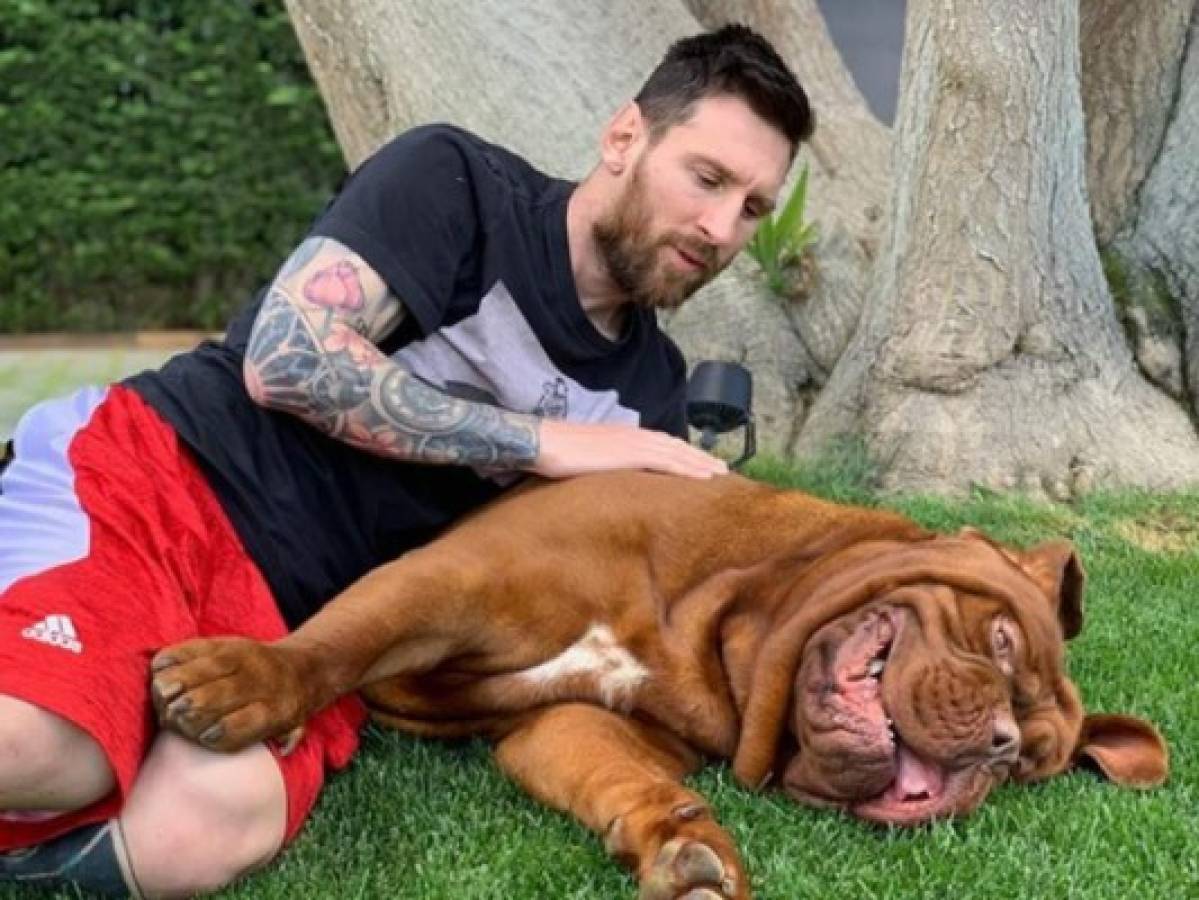 La impresionante transformación de 'Hulk', el perro de Lionel Messi