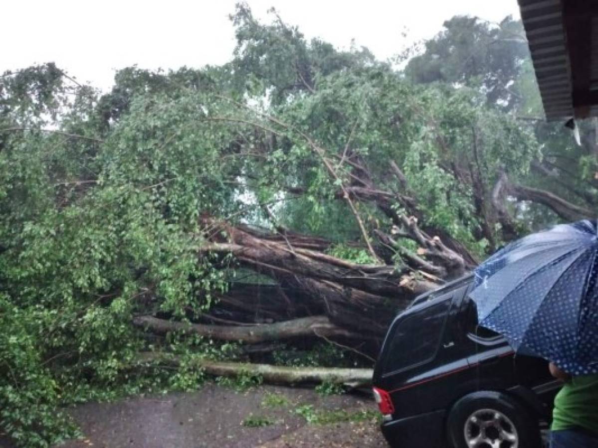 Inundaciones y 40 casas caídas: Las lluvias del huracán Iota ya dejan desastres en Honduras