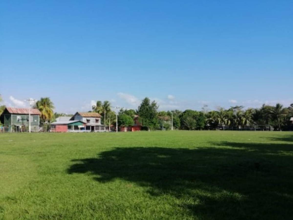 Así lucen las canchas de fútbol de los ex campos bananeros de El Progreso, Yoro