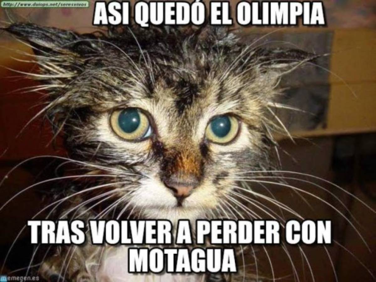 Olimpia cae ante Motagua y es atacado con divertidos memes