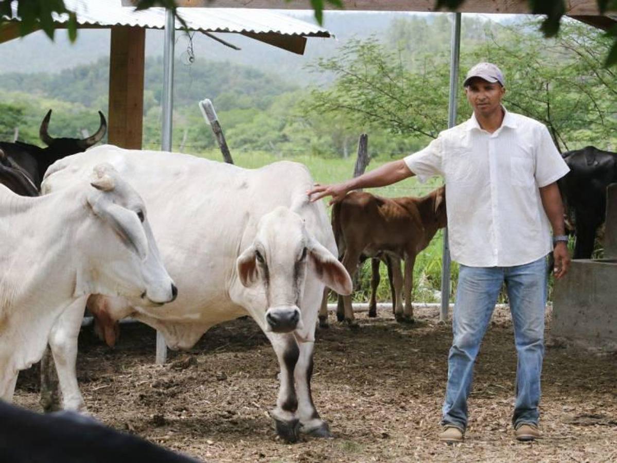 Pedro Troglio se une al emprendimiento: Los negocios de los jugadores hondureños y hasta exfutbolistas extranjeros