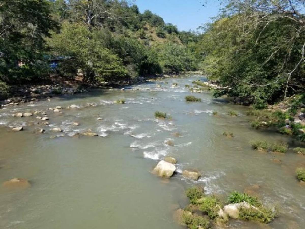 ¡Ríos limpios e irreconocibles! La otra cara de la pandemia del coronavirus en Honduras