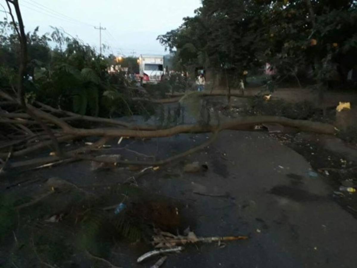 EN FOTOS: Carros quemados y carreteras tomas en casi toda Honduras