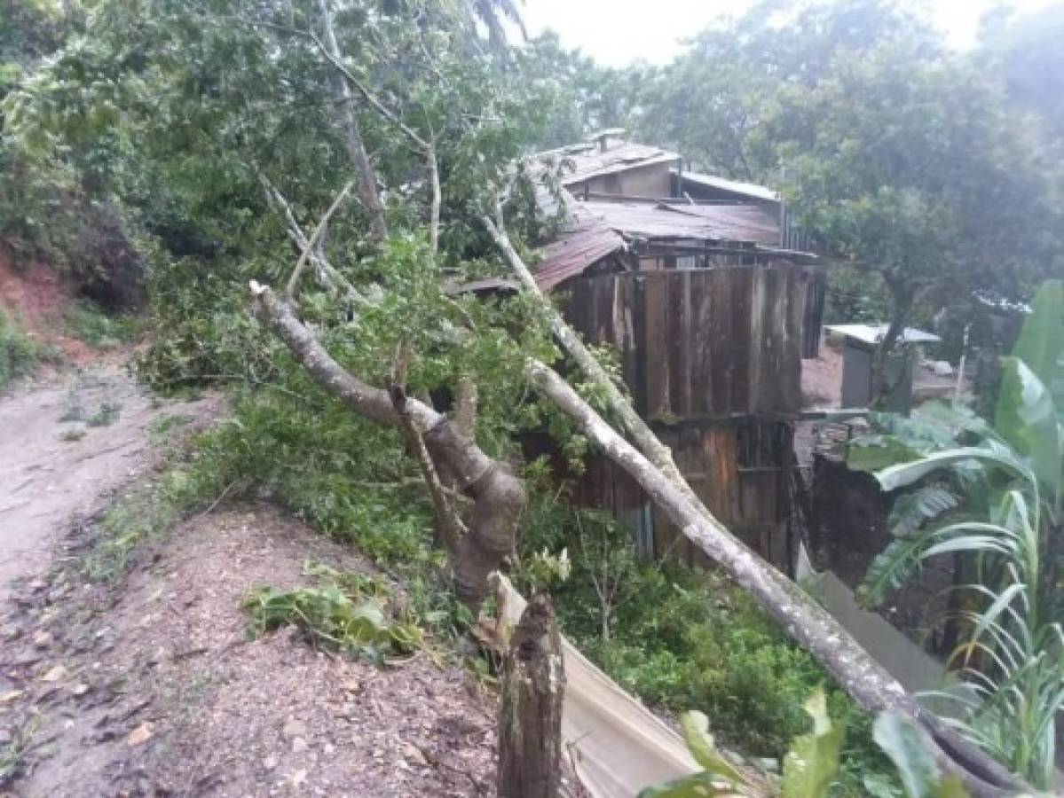 Inundaciones y 40 casas caídas: Las lluvias del huracán Iota ya dejan desastres en Honduras