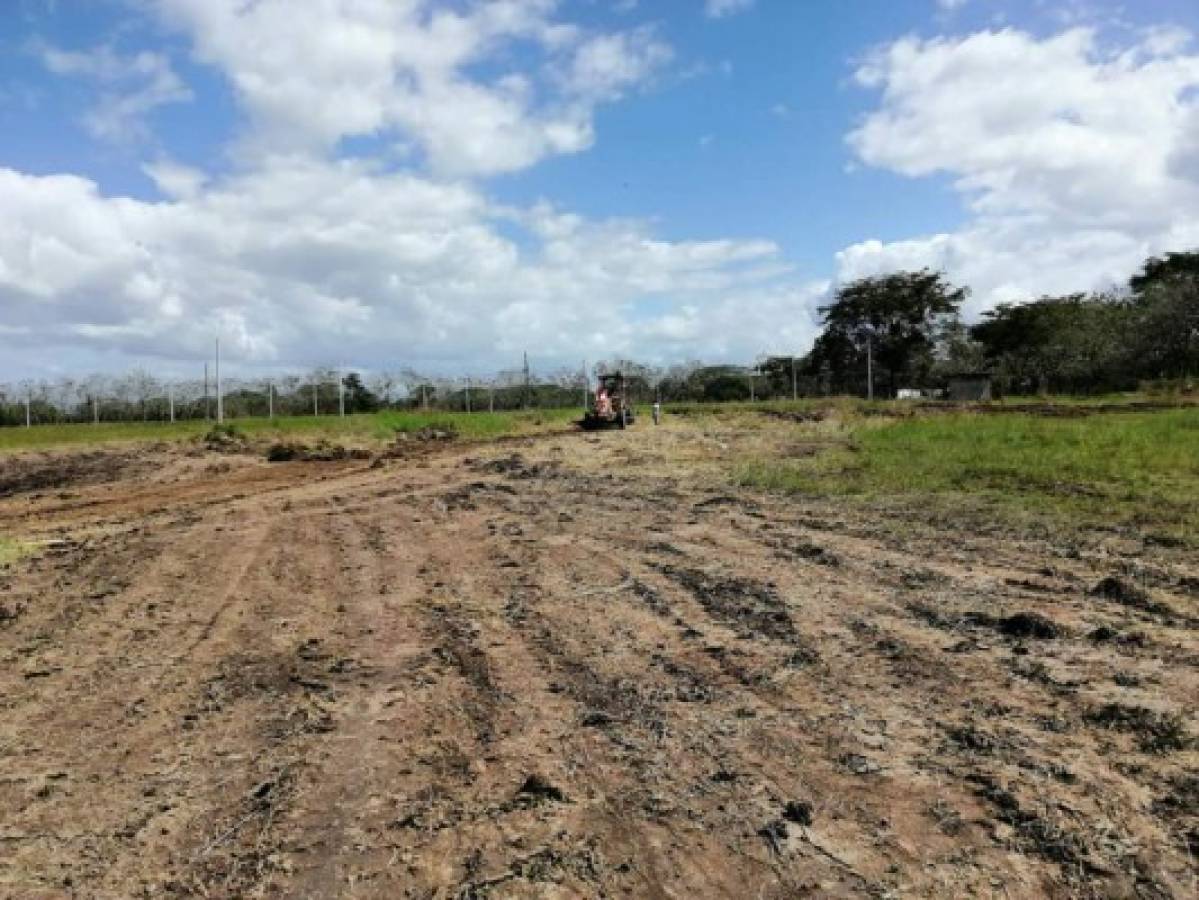 Fotos: Así marchan los trabajos de construcción del estadio de béisbol Mauricio Dubón en Juticalpa