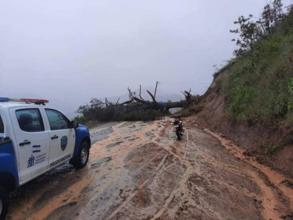 Inundaciones y 40 casas caídas: Las lluvias del huracán Iota ya dejan desastres en Honduras