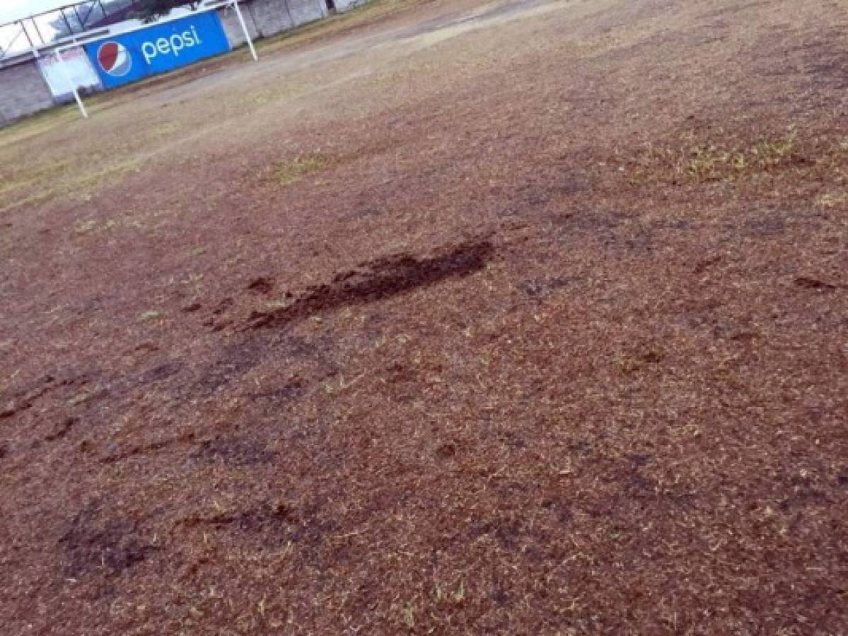 ¡Sirve de potrero! Así de descuidado luce uno de los estadios de Honduras