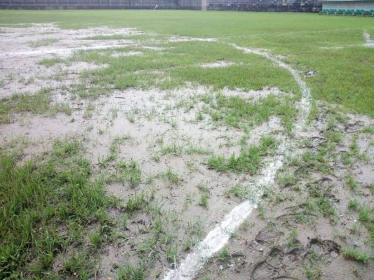 Así de deteriorada luce la cancha del estadio Francisco Martínez de Tocoa