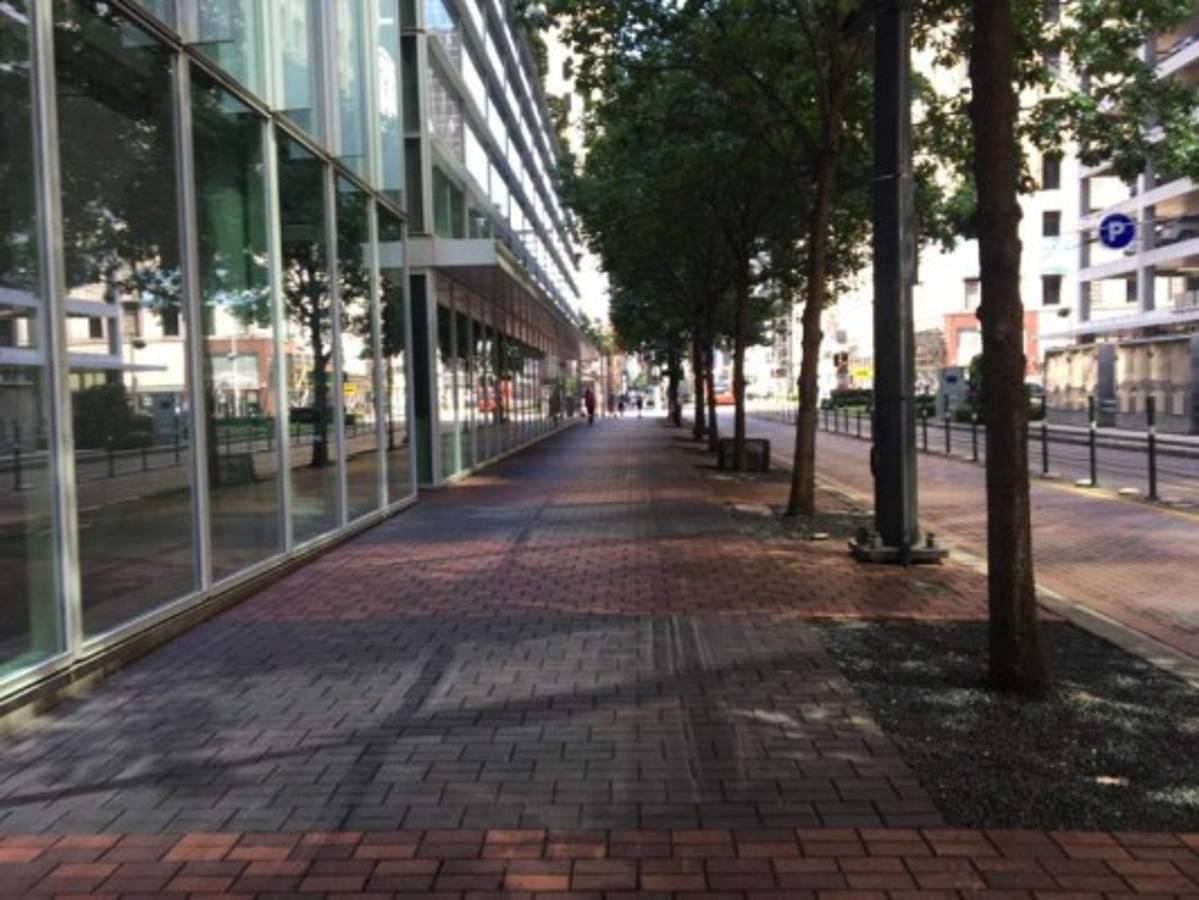 Galería: Así amaneció Houston, la ciudad del Honduras vs Curazao en Copa Oro