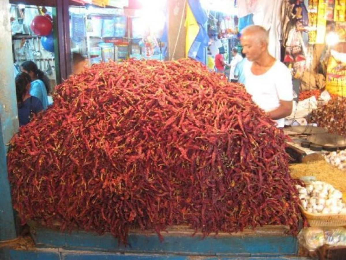 Un lugar exótico: Así es la nueva casa del hondureño Clayvin Zúniga en la India