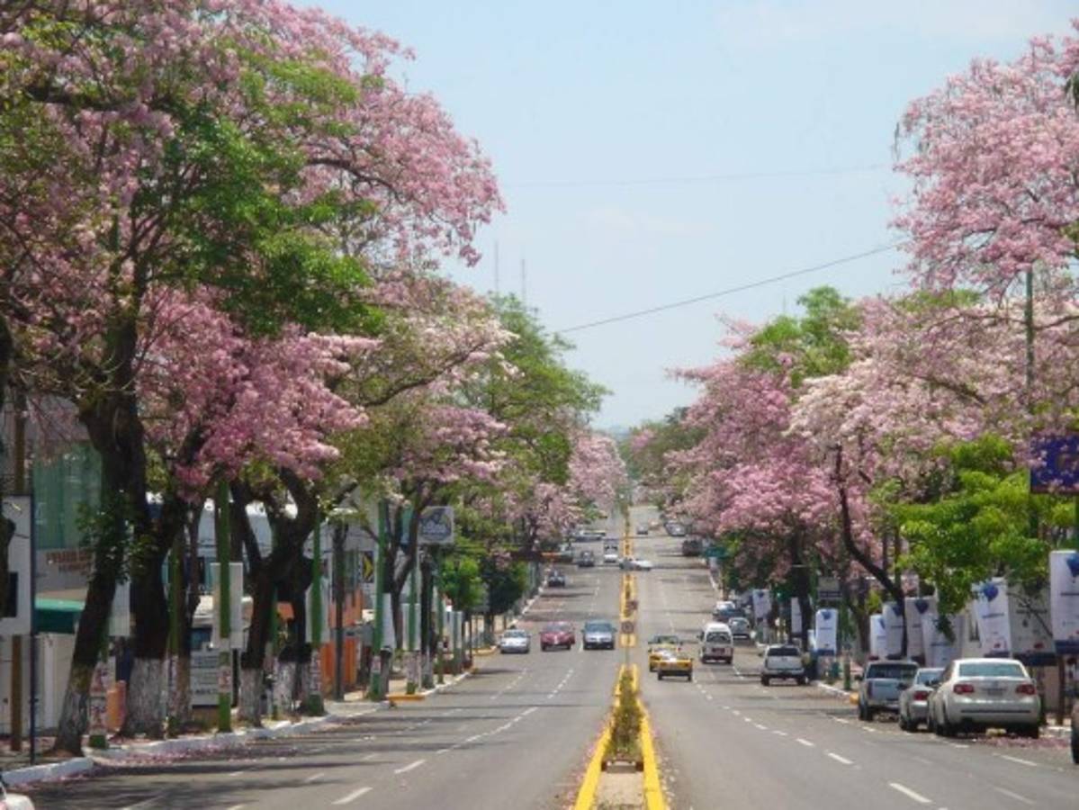 Conocé el Estadio de Villahermosa, la casa del Pumas Tabasco donde jugará Carlos Mejía