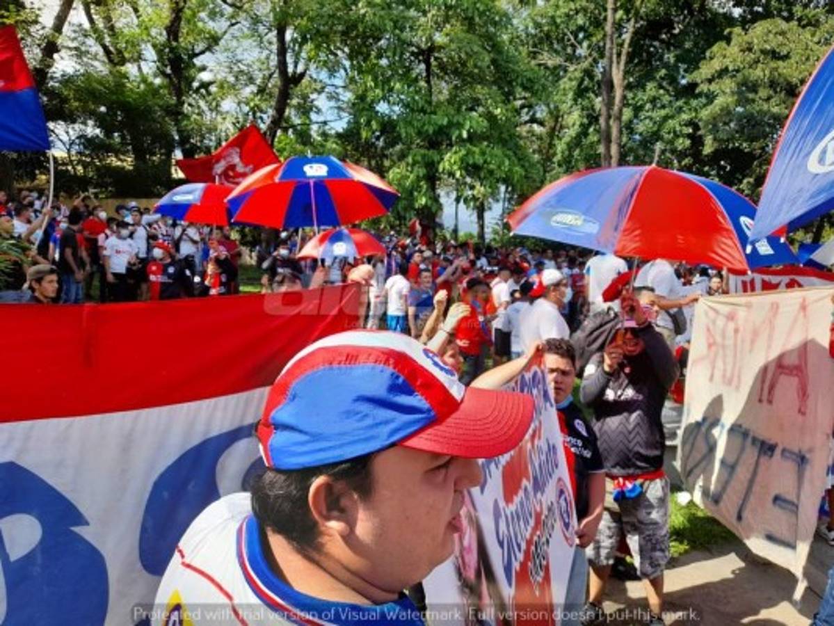 ¡Espectacular! Afición del Olimpia se desborda con banderazo al club y se acuerdan de Motagua