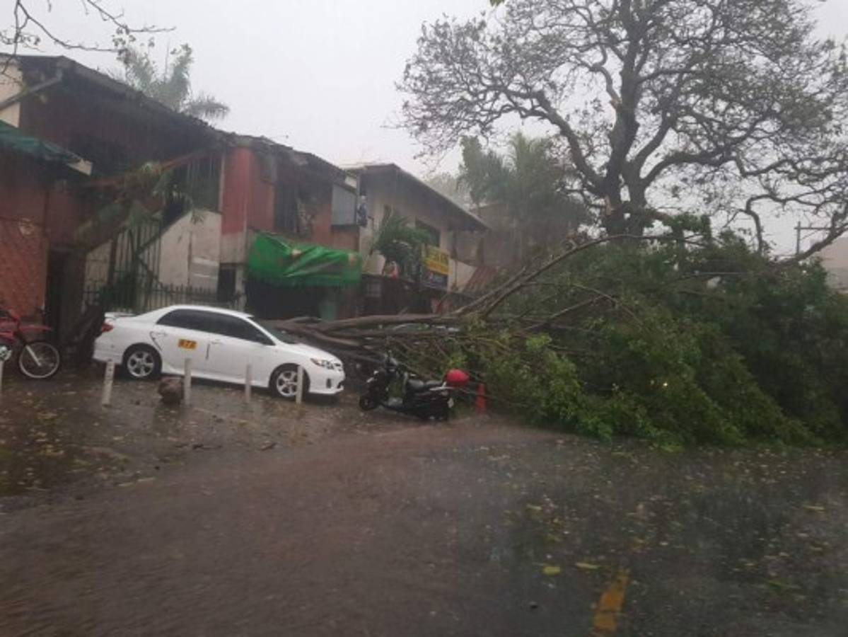 FOTOS: Caos, túneles inundados y destrucción deja fuerte lluvia en Tegucigalpa