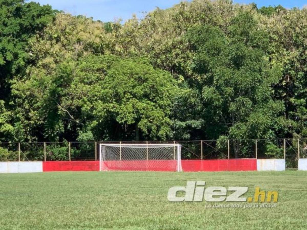 Gradería techada y cancha de primer nivel: Así será el estadio del Vida en el Campo Atlántida de La Ceiba