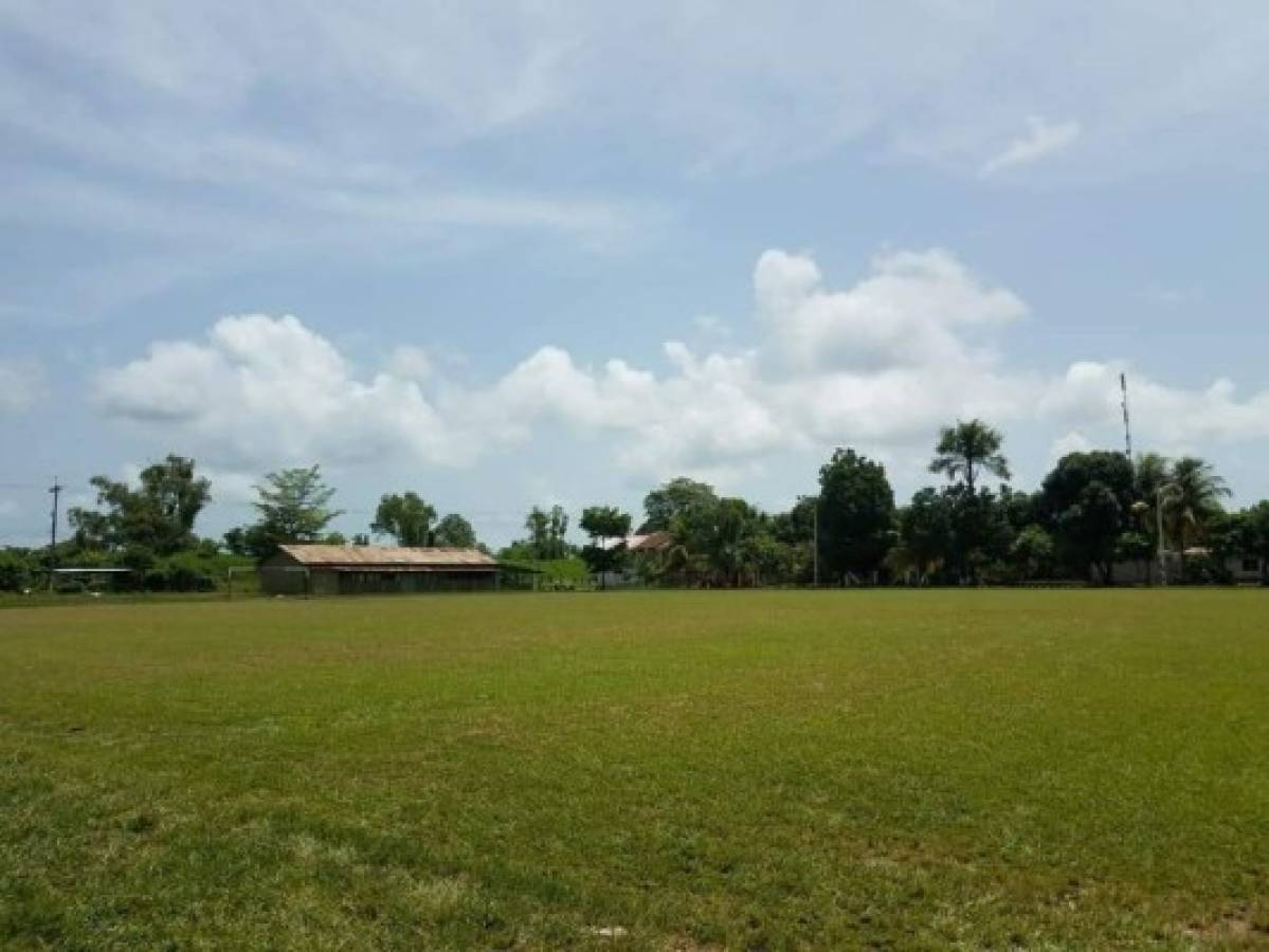 Así lucen las canchas de fútbol de los ex campos bananeros de El Progreso, Yoro